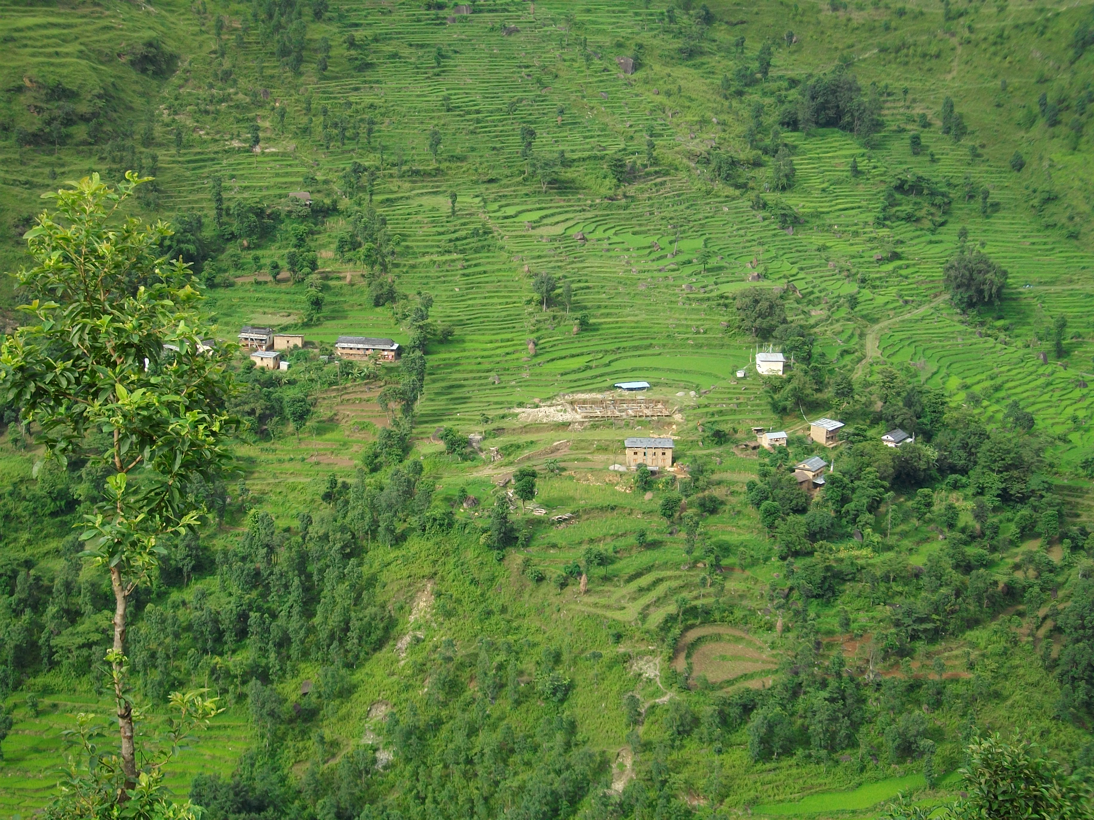 Nepali Students